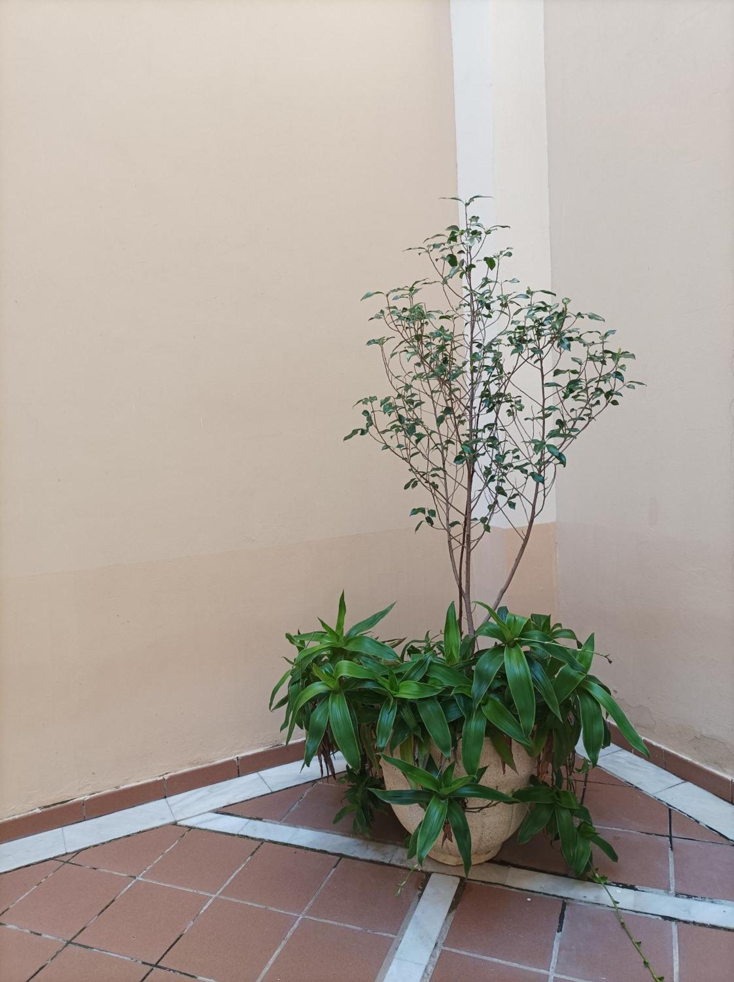 Apartamento De Lux Sevilla Este Sevilha Exterior foto